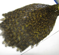 American hen cape grizzly  /  dk. olive  Whiting 